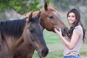 horses-1996285_1280-1024x819